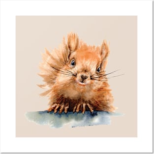 Watercolor squirrel Posters and Art
